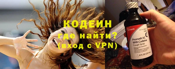гашик Алзамай