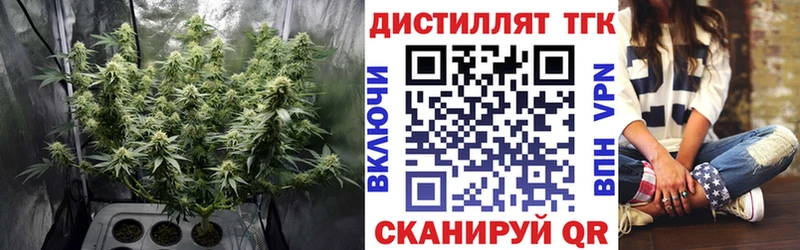 ТГК Wax Каменск-Уральский