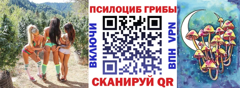 Галлюциногенные грибы Cubensis  darknet состав  Каменск-Уральский 